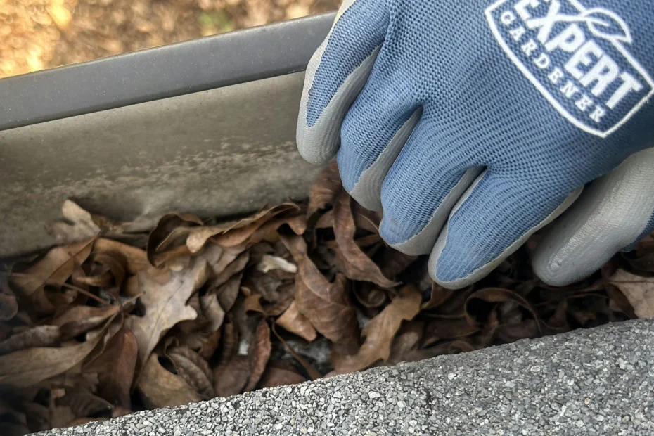 Gutter Cleaning Gurley