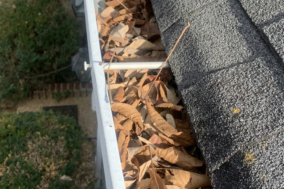 Gutter Cleaning Gurley