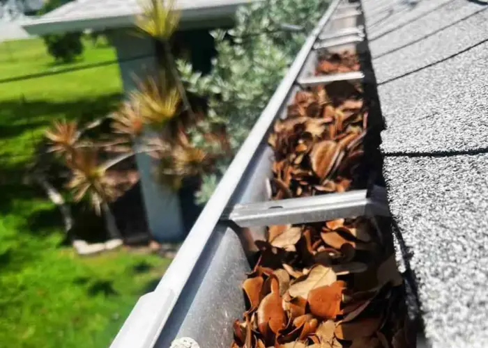 Gutter Cleaning Gurley home page